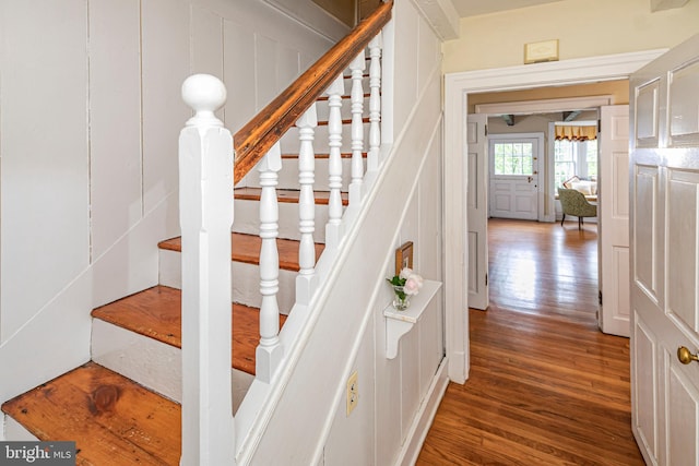 stairs with dark hardwood / wood-style floors