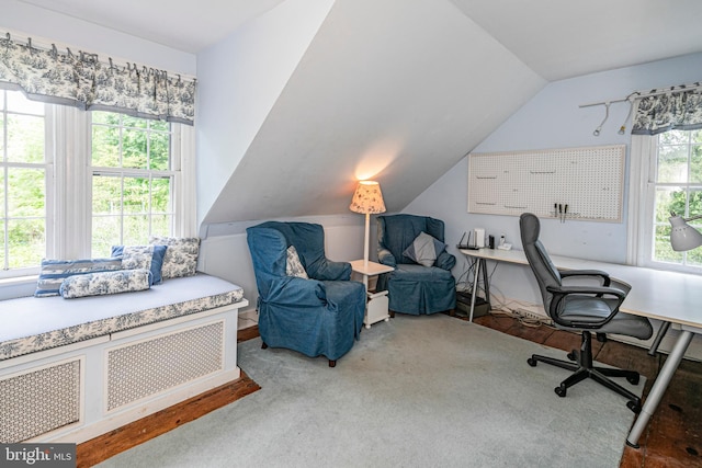 office area featuring vaulted ceiling