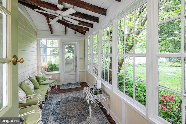 sunroom with lofted ceiling with beams and ceiling fan