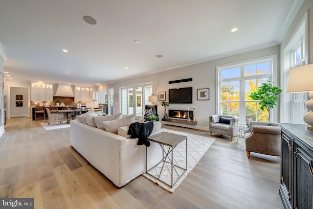 living room featuring crown molding, light wood-type flooring, and a healthy amount of sunlight