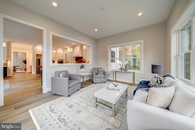 living room featuring light wood-type flooring