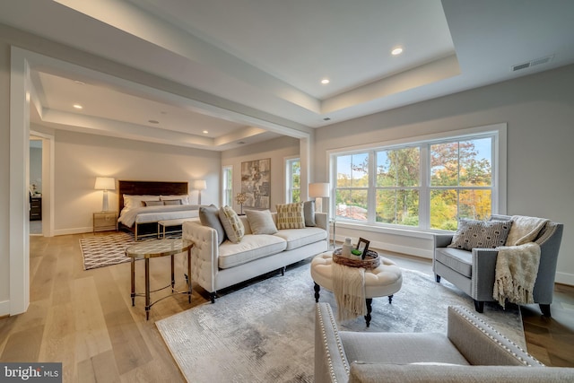 living room featuring plenty of natural light, light hardwood / wood-style floors, and a raised ceiling