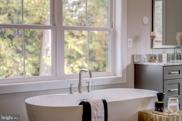 interior space featuring a bath to relax in and vanity