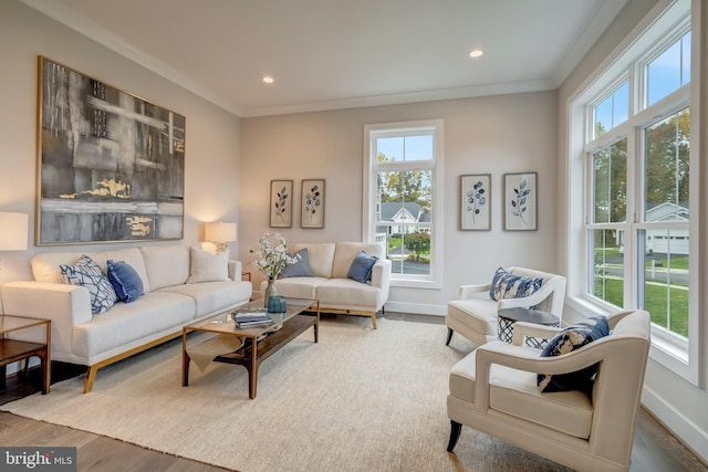 living room with ornamental molding, a wealth of natural light, and hardwood / wood-style flooring