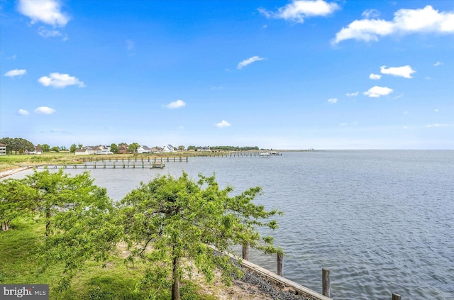 water view featuring a boat dock