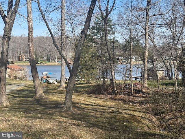 Listing photo 3 for S Lakeshore Dr, Louisa VA 23093