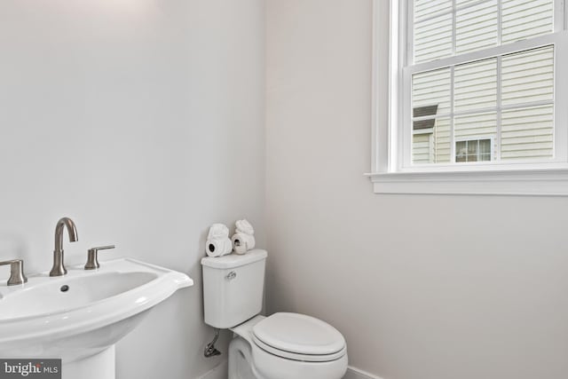 bathroom featuring toilet and sink