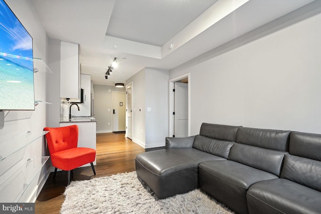 living room with dark wood-type flooring and sink