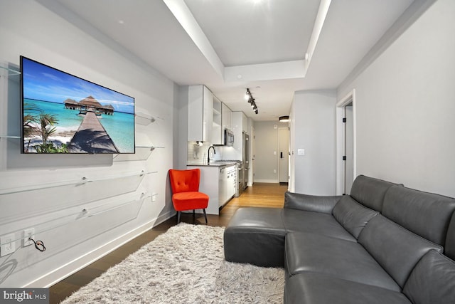 living room with sink, dark wood-type flooring, and a raised ceiling