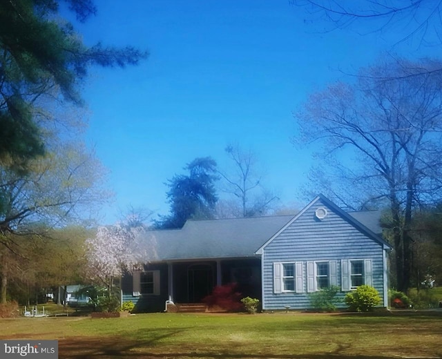 back of house featuring a yard