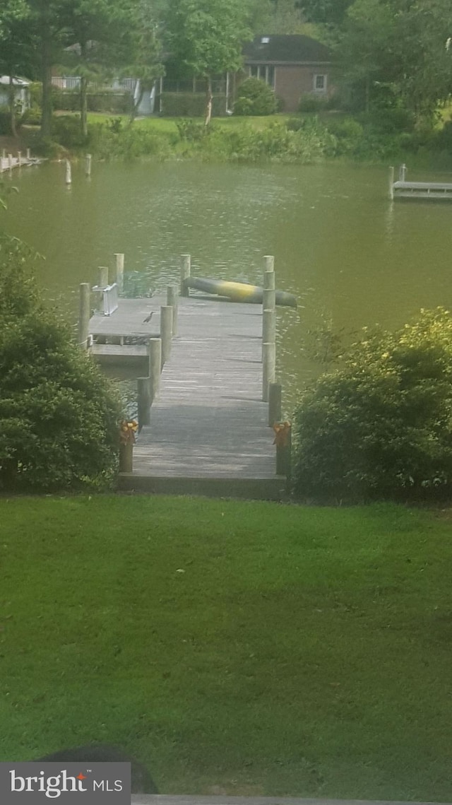 dock area with a yard and a water view