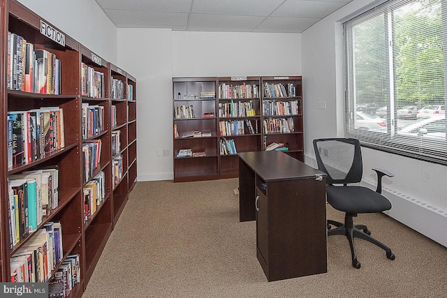 carpeted office with a drop ceiling