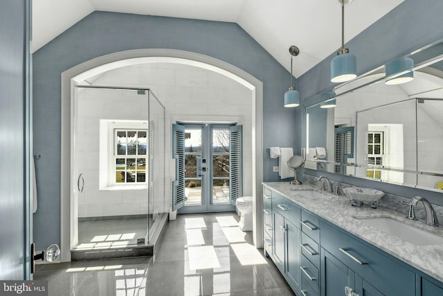 interior space featuring tile patterned flooring, toilet, vaulted ceiling, and vanity