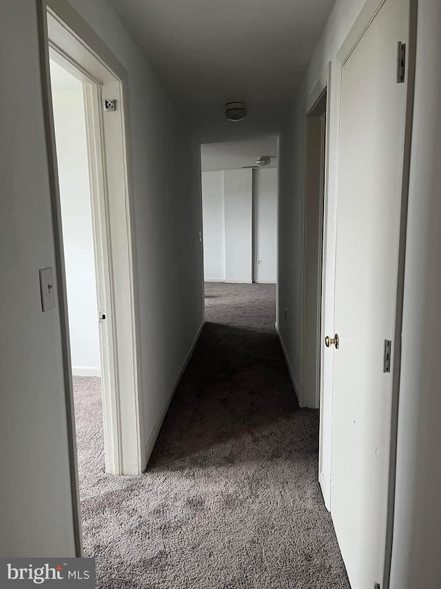 hallway with dark colored carpet