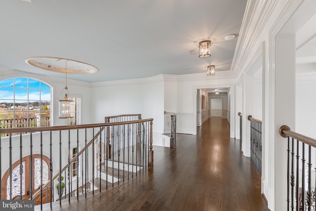 corridor featuring dark hardwood / wood-style flooring, crown molding, and a notable chandelier