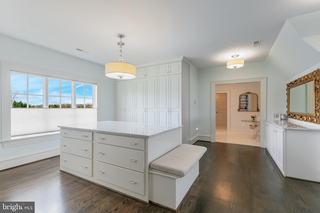 spacious closet featuring dark hardwood / wood-style floors and lofted ceiling