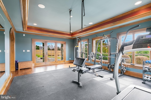 exercise area featuring plenty of natural light and crown molding