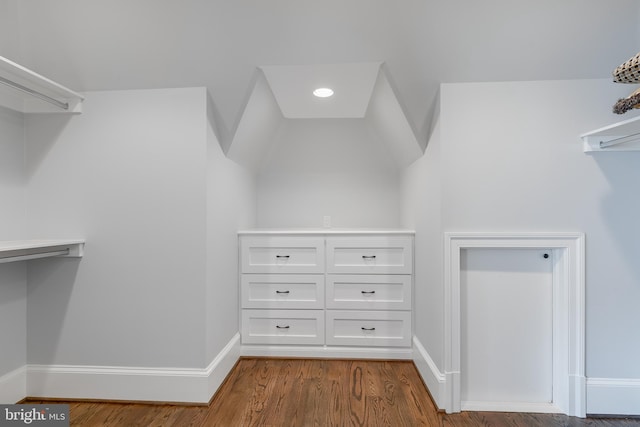 spacious closet featuring hardwood / wood-style floors