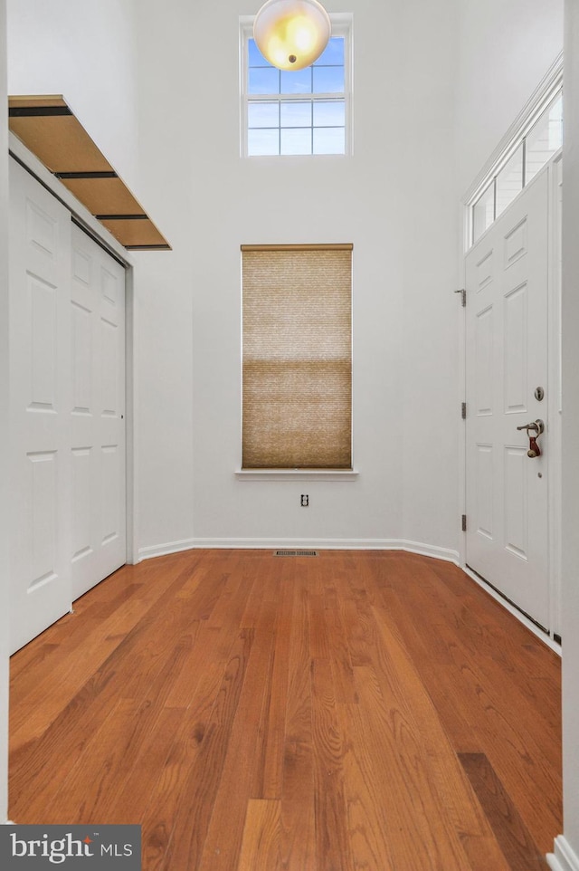 foyer with light hardwood / wood-style floors