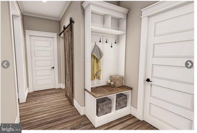 mudroom with a barn door, dark hardwood / wood-style flooring, and ornamental molding