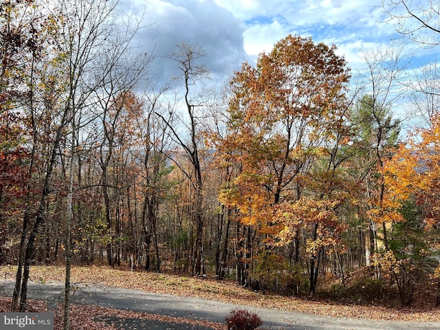 view of road