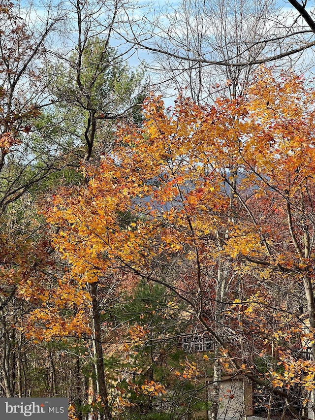 view of nature