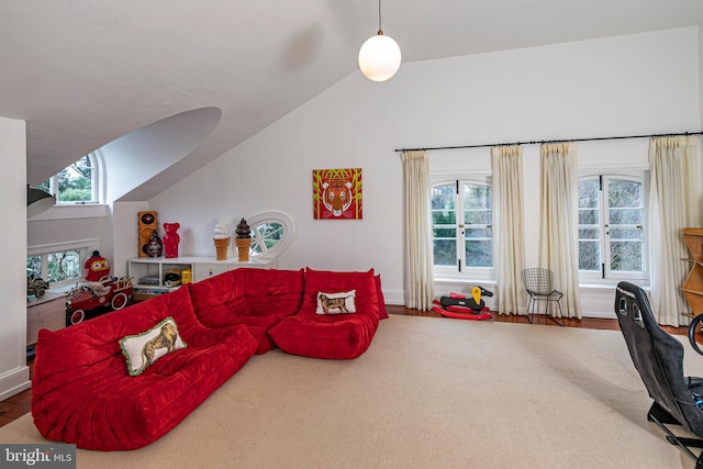 living room with a wealth of natural light, vaulted ceiling, and hardwood / wood-style flooring