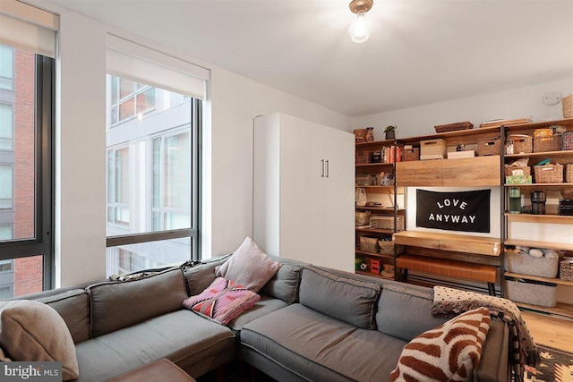 living room with hardwood / wood-style flooring