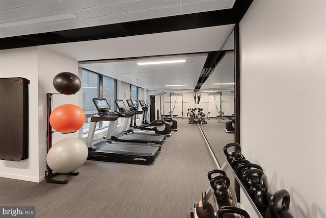 gym featuring floor to ceiling windows, dark carpet, and a paneled ceiling