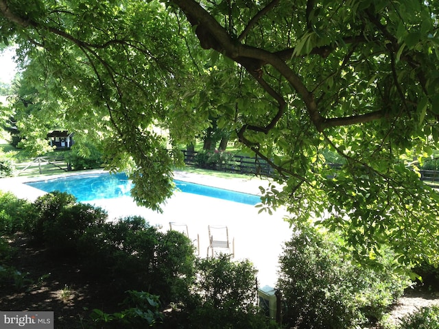 view of swimming pool