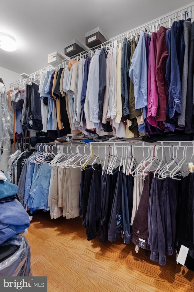 walk in closet with light hardwood / wood-style floors