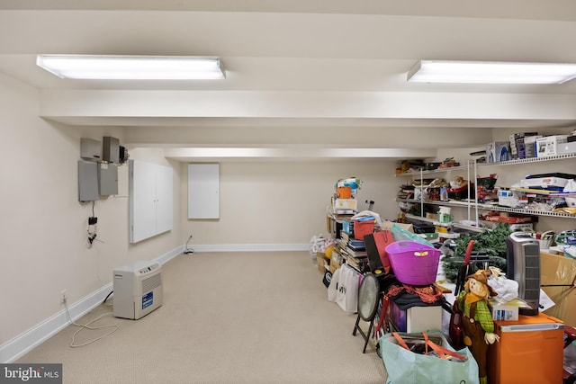 basement with light colored carpet