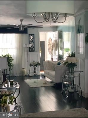 living room featuring ceiling fan with notable chandelier and hardwood / wood-style floors