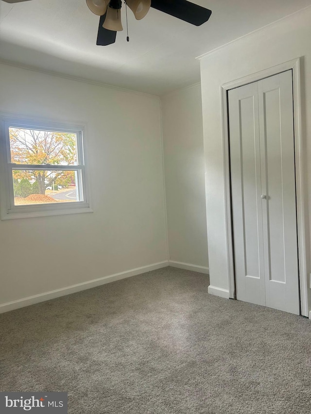 unfurnished bedroom with carpet flooring, ceiling fan, a closet, and ornamental molding