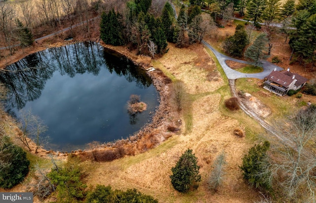 drone / aerial view featuring a water view