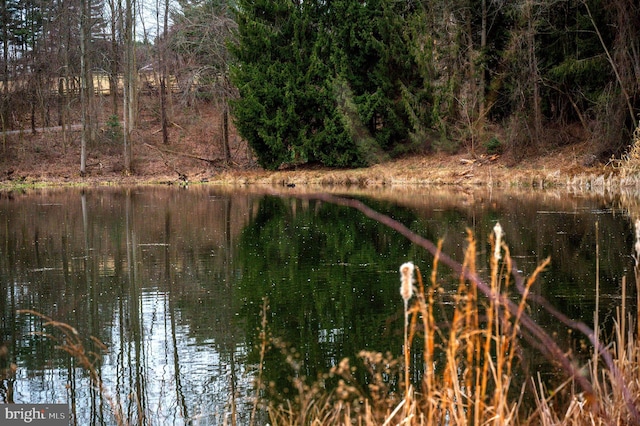 view of property view of water