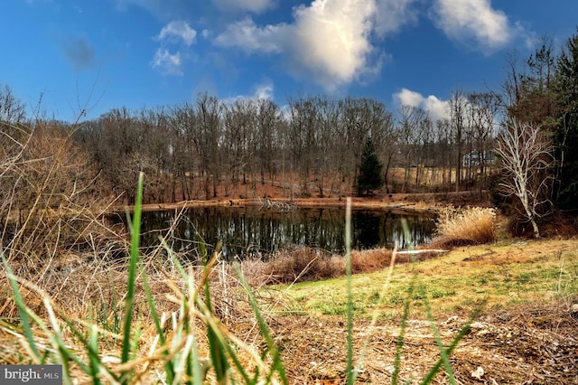 view of mother earth's splendor with a water view