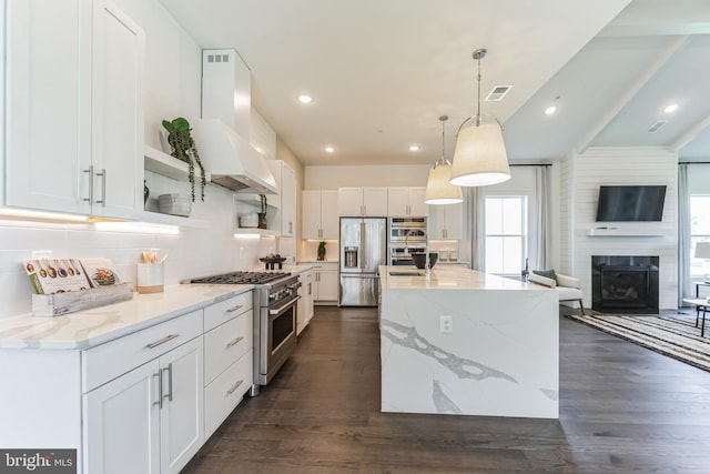 kitchen with premium appliances, white cabinetry, premium range hood, and dark wood-type flooring