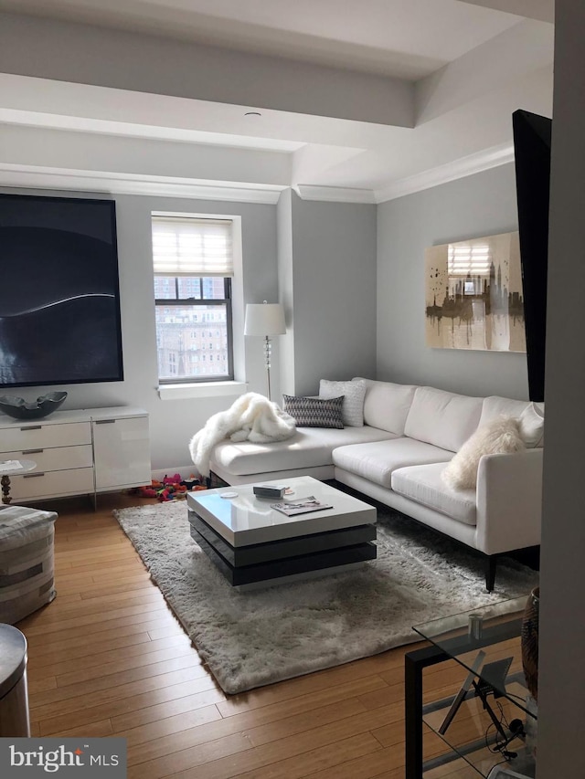 living room with crown molding and hardwood / wood-style flooring