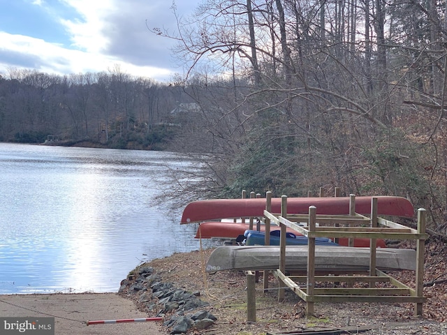 dock area with a water view