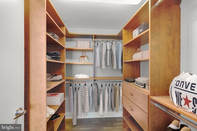 spacious closet with dark hardwood / wood-style floors