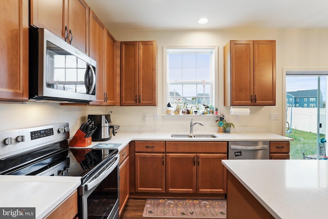 kitchen with plenty of natural light, stainless steel appliances, dark hardwood / wood-style floors, and sink