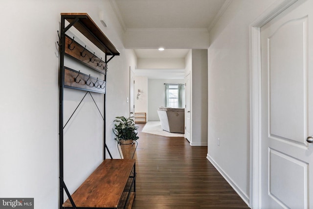 corridor featuring crown molding and dark wood-type flooring