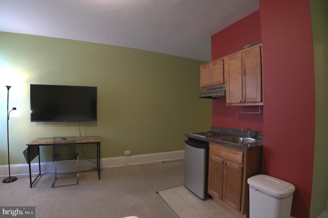 kitchen featuring dishwashing machine, sink, and light carpet