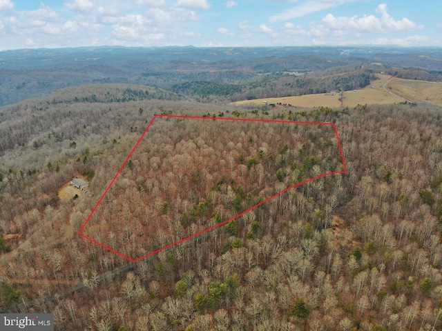 Laurel Fork Rd, Laurel Fork VA, 24352 land for sale