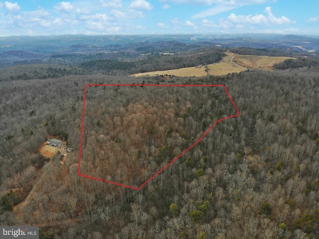 Listing photo 2 for Laurel Fork Rd, Laurel Fork VA 24352