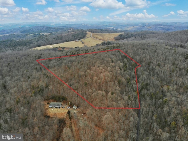 Listing photo 3 for Laurel Fork Rd, Laurel Fork VA 24352