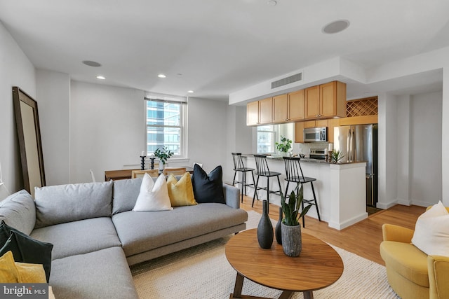 living room featuring light hardwood / wood-style flooring