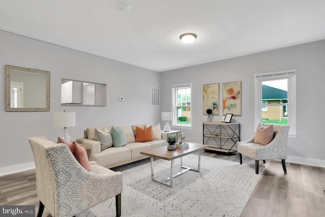 living room featuring light hardwood / wood-style flooring