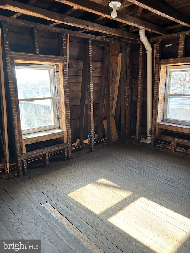 interior space with dark hardwood / wood-style flooring and a wealth of natural light